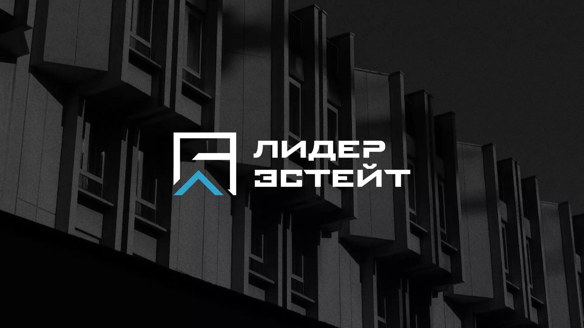 Разработка логотипа агентства недвижимости «Лидер Эстейт» в Каспийске